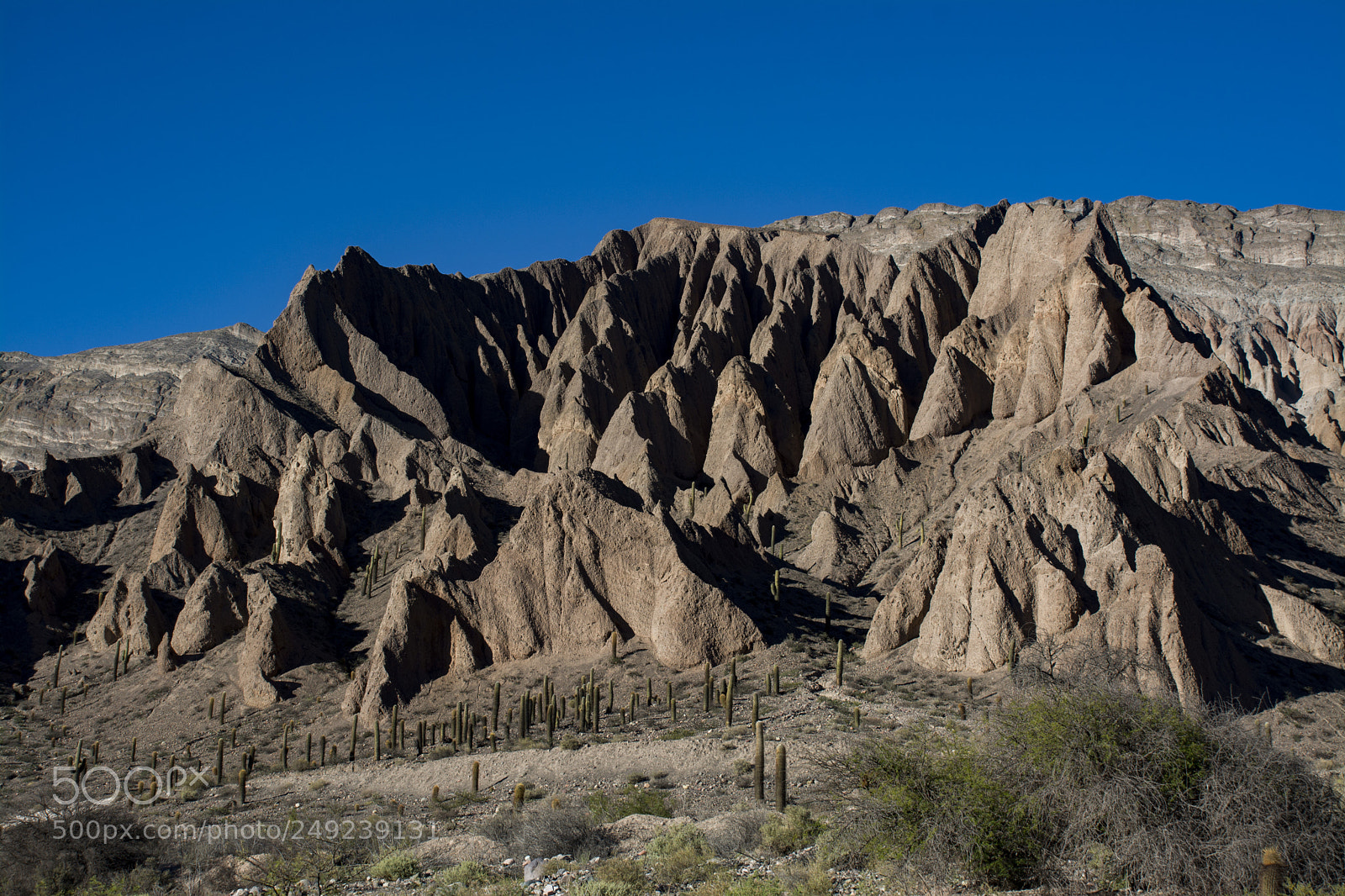 Nikon D7100 sample photo. Tren a las nubes photography