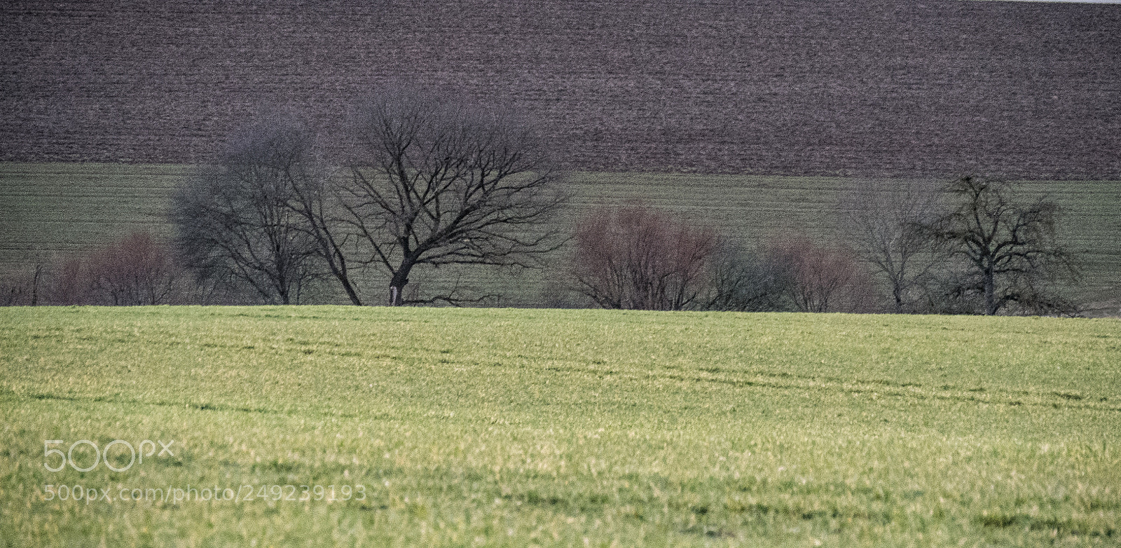 Panasonic DMC-G70 sample photo. Field photography