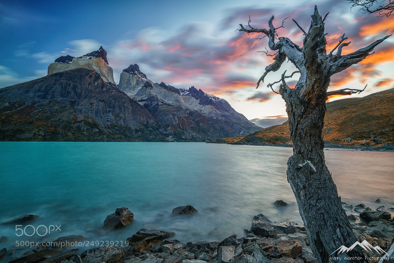 Sony a7R II sample photo. Dead tree sunrise photography