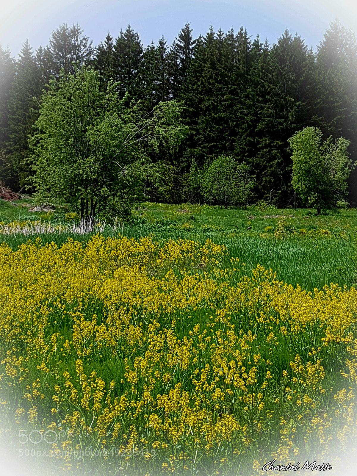 Samsung Galaxy S7 sample photo. Prairie photography