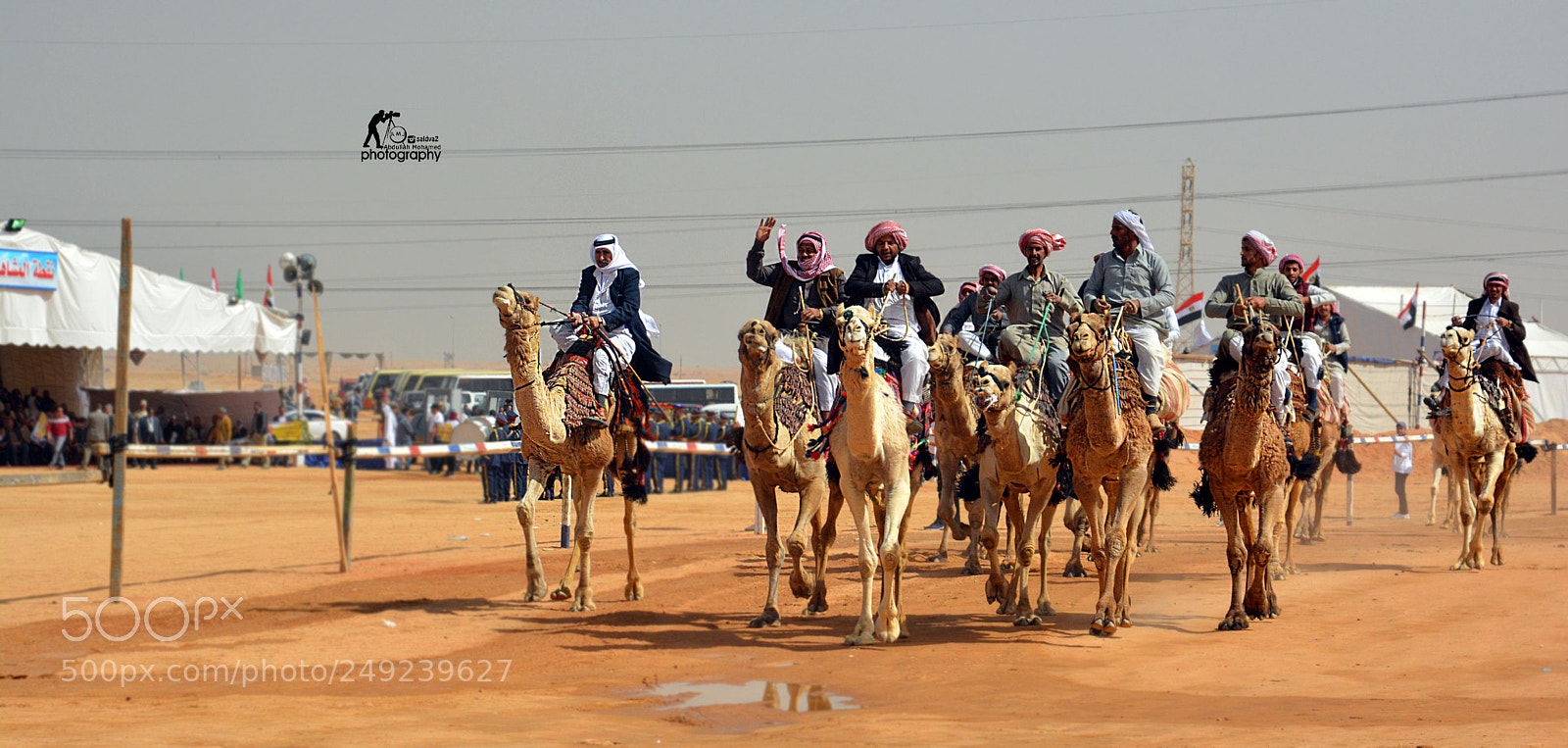 Nikon D5200 sample photo. فعاليات مهرجان التاسع للهجن العربية بمشاركة 300 هج ... photography