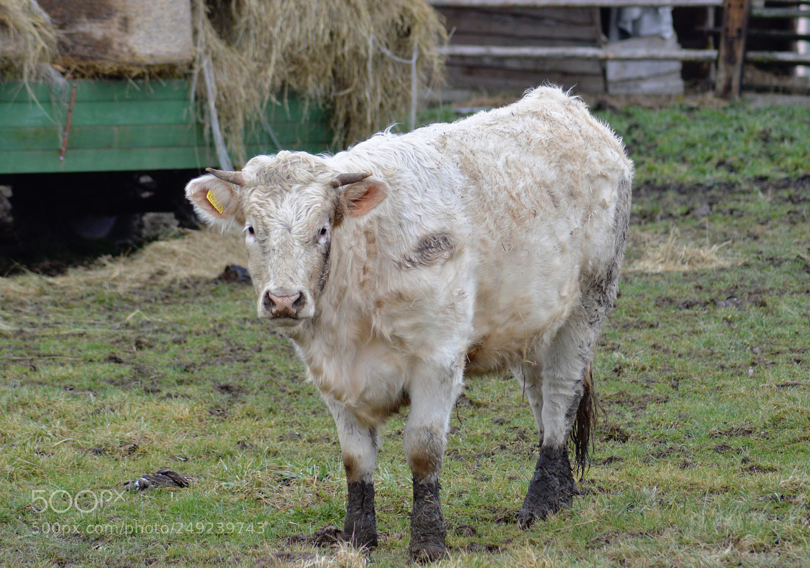 Nikon D3200 sample photo. Untitled photography