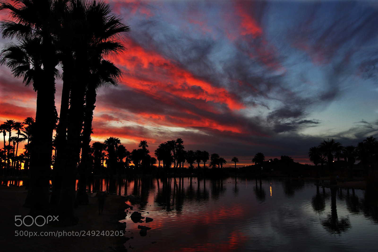 Canon EOS 600D (Rebel EOS T3i / EOS Kiss X5) sample photo. #0260 -red sunset,papago park photography