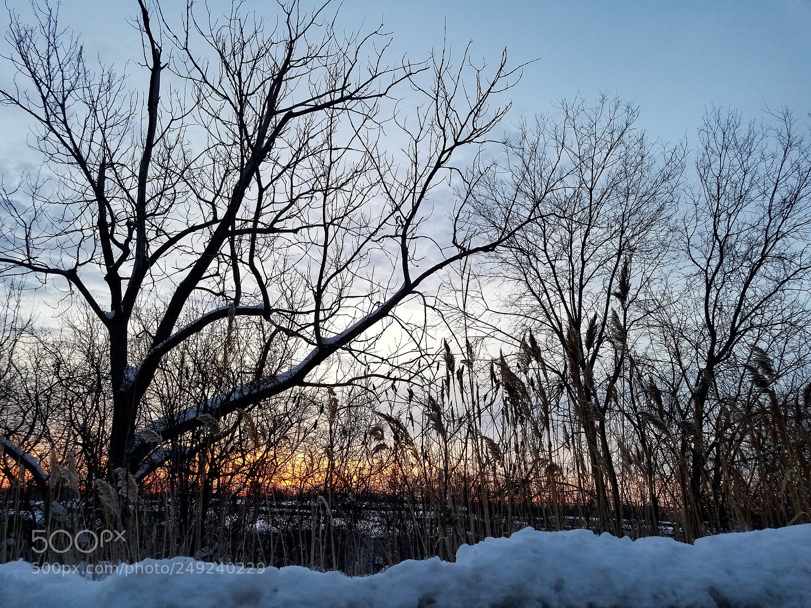 Samsung Galaxy S7 sample photo. Sun is coming photography