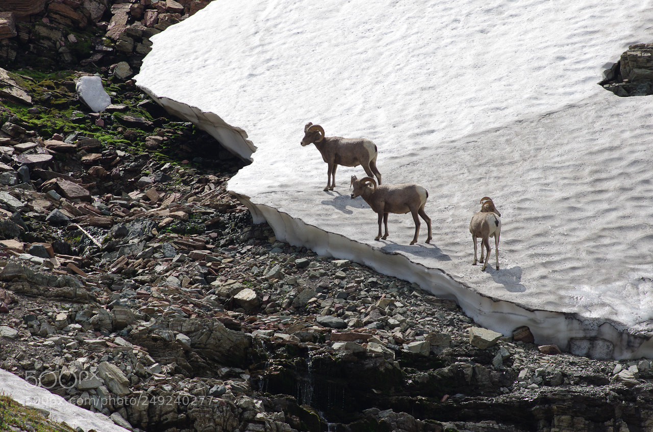 Pentax K-5 sample photo. Glacier photography