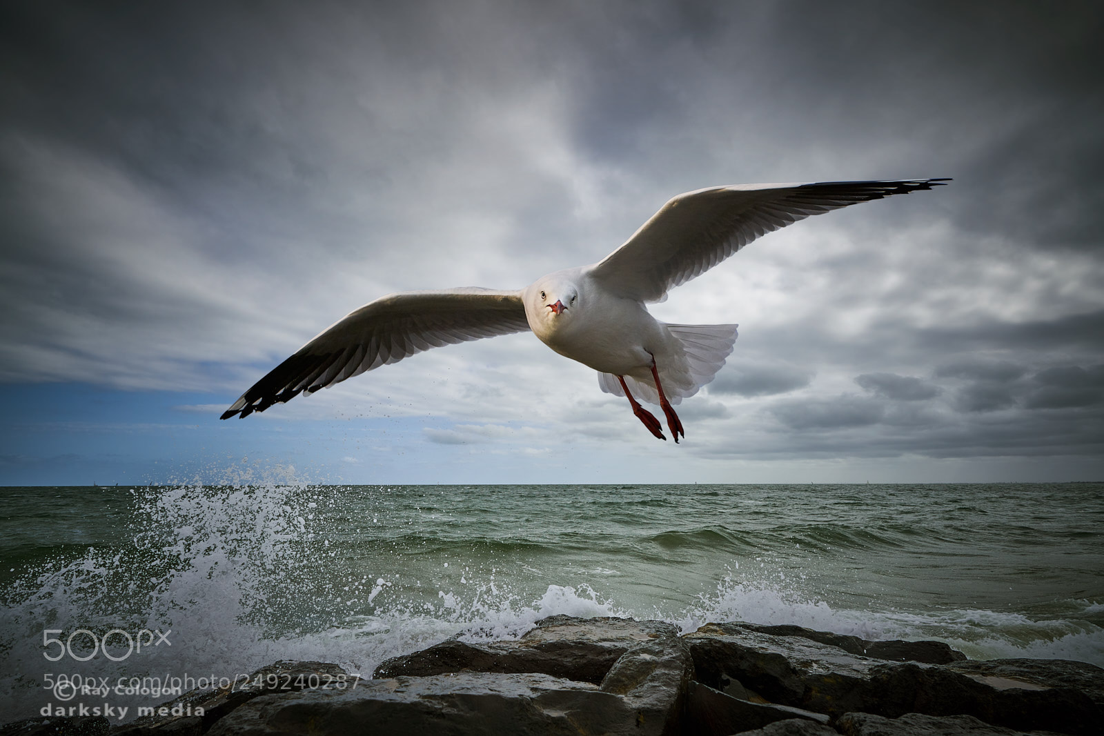 Sony a7R III sample photo. Command of the air photography
