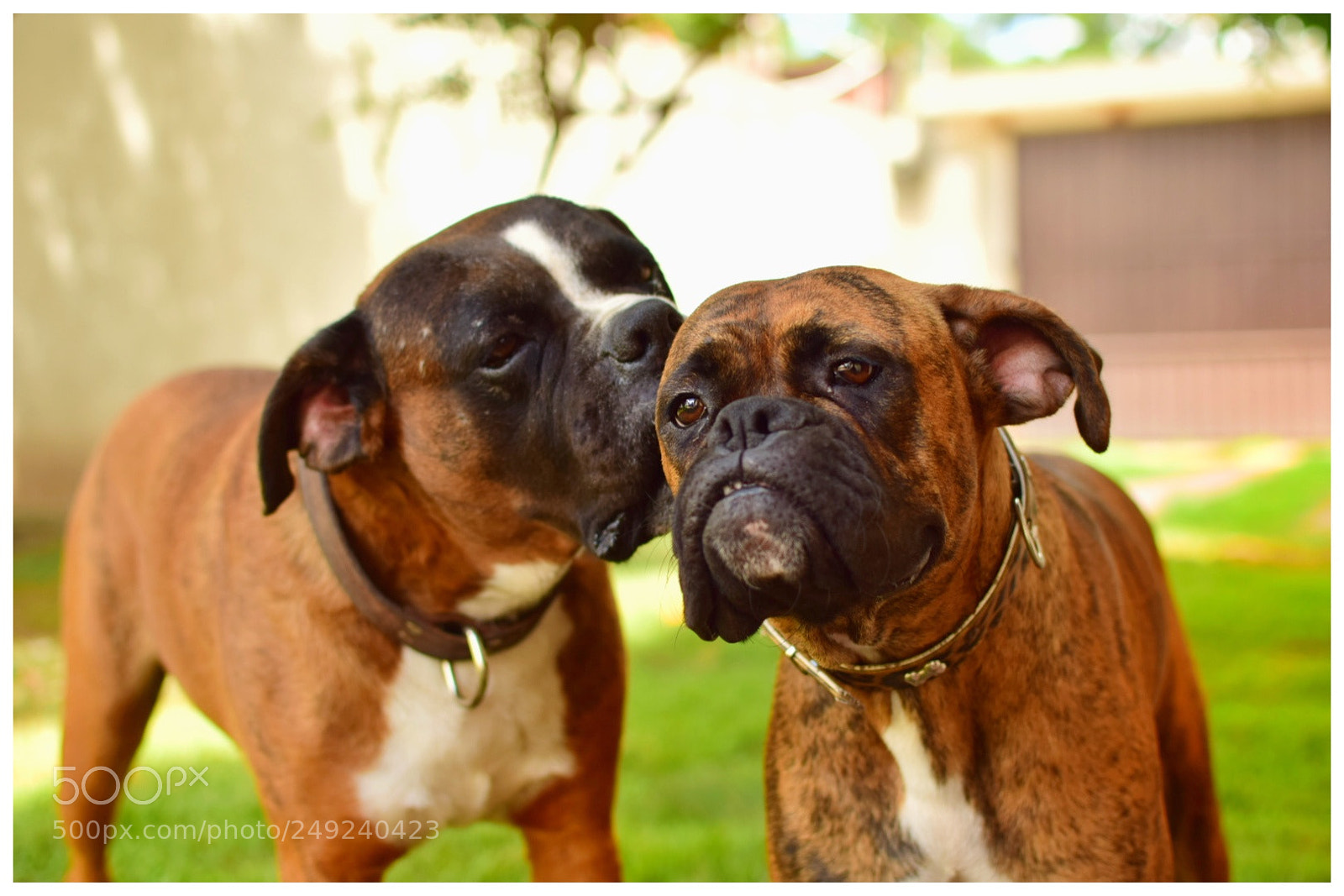 Nikon D5300 sample photo. Untitled photography