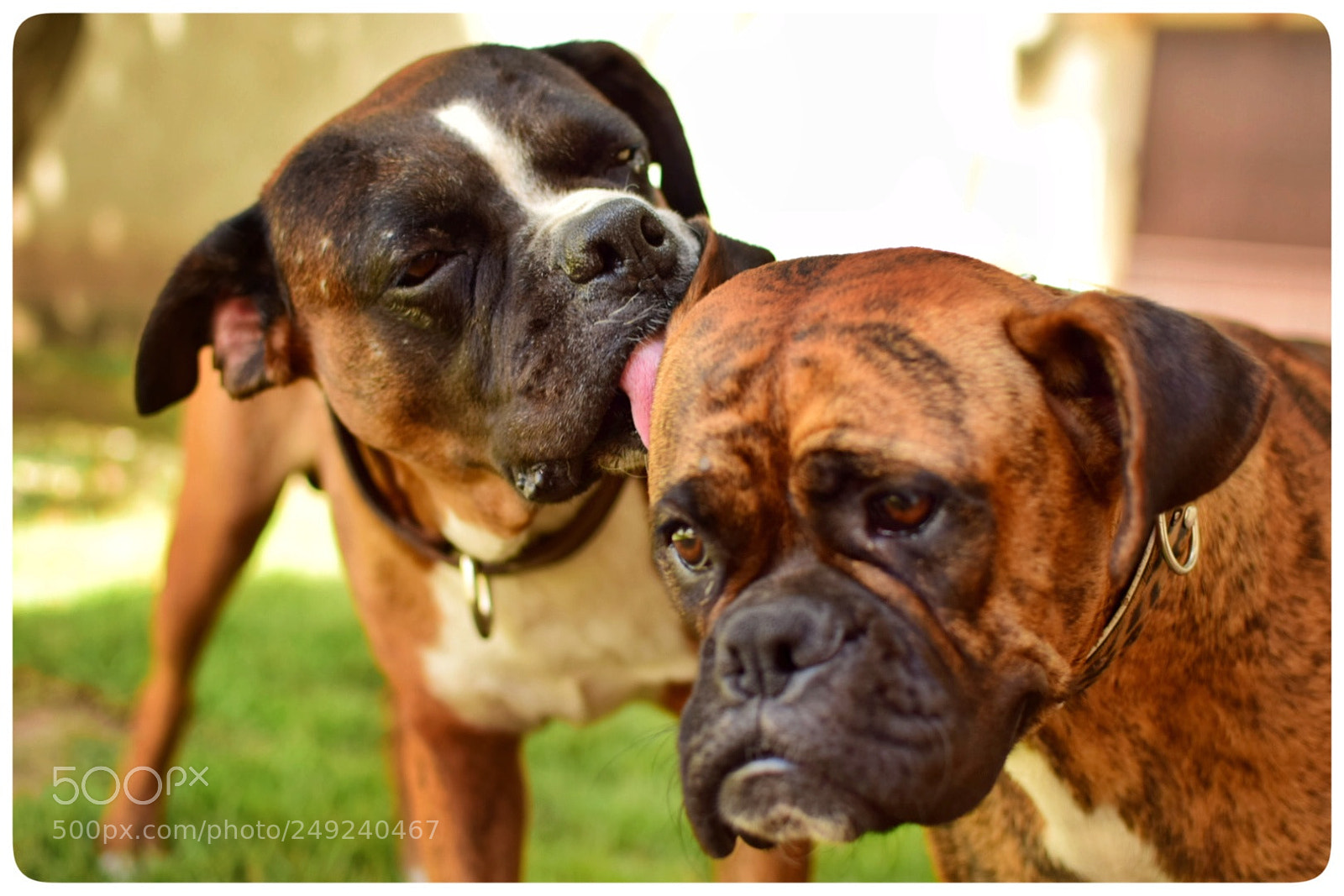 Nikon D5300 sample photo. Untitled photography