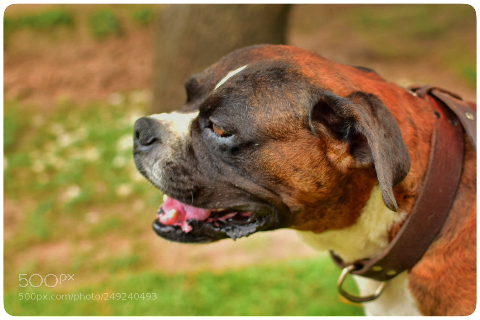Nikon D5300 sample photo. Untitled photography
