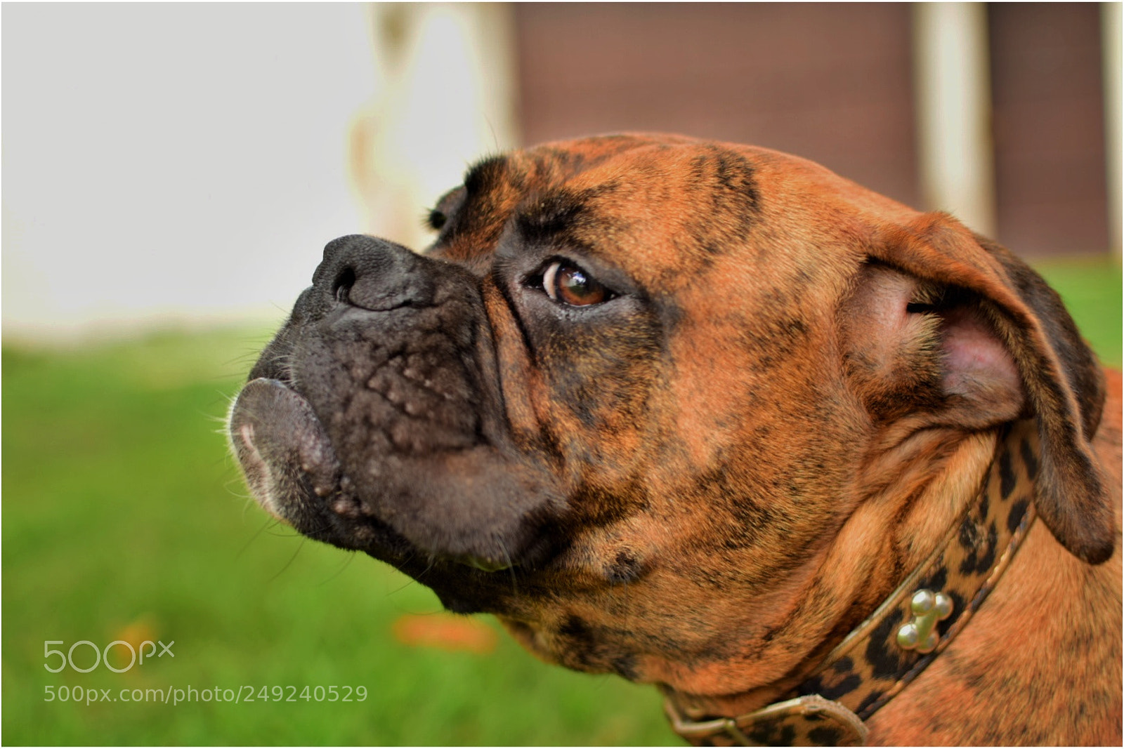 Nikon D5300 sample photo. Untitled photography
