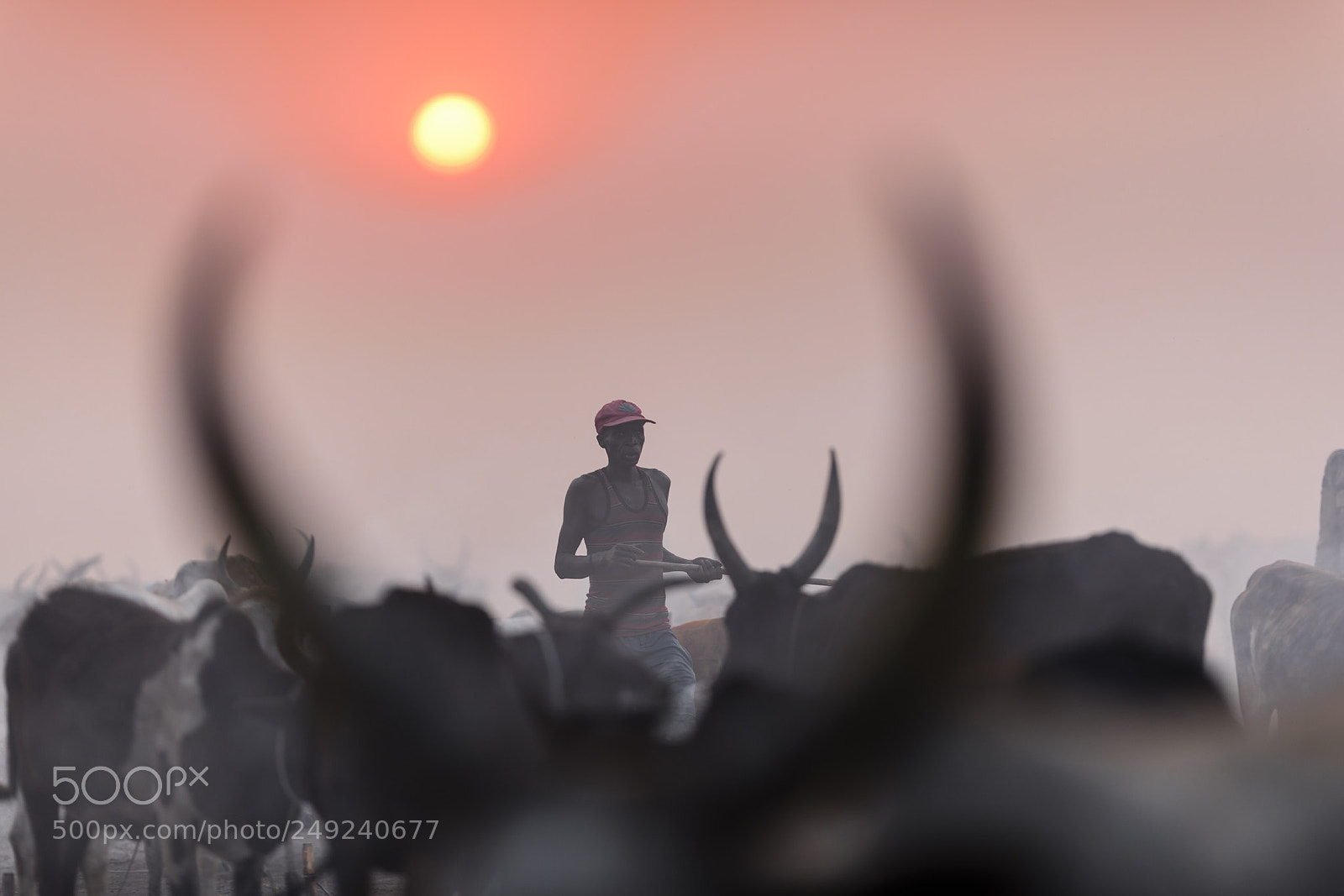 Nikon D810 sample photo. At sunset photography