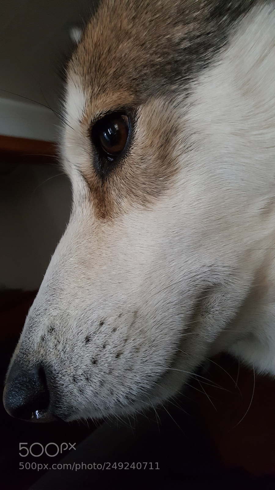 Samsung Galaxy Note5 sample photo. Untitled photography