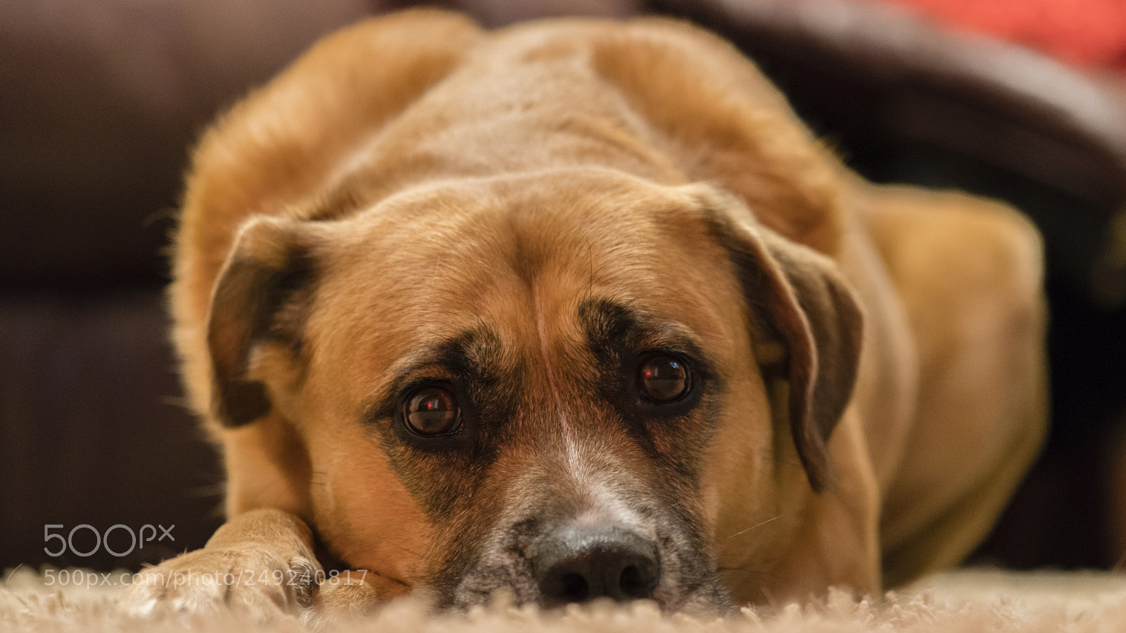 Sony a7R II sample photo. Sacha photography