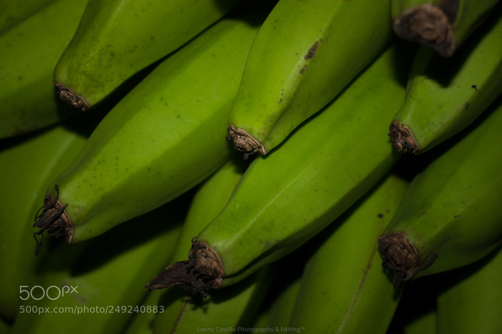 Canon EOS 700D (EOS Rebel T5i / EOS Kiss X7i) sample photo. Green banana photography