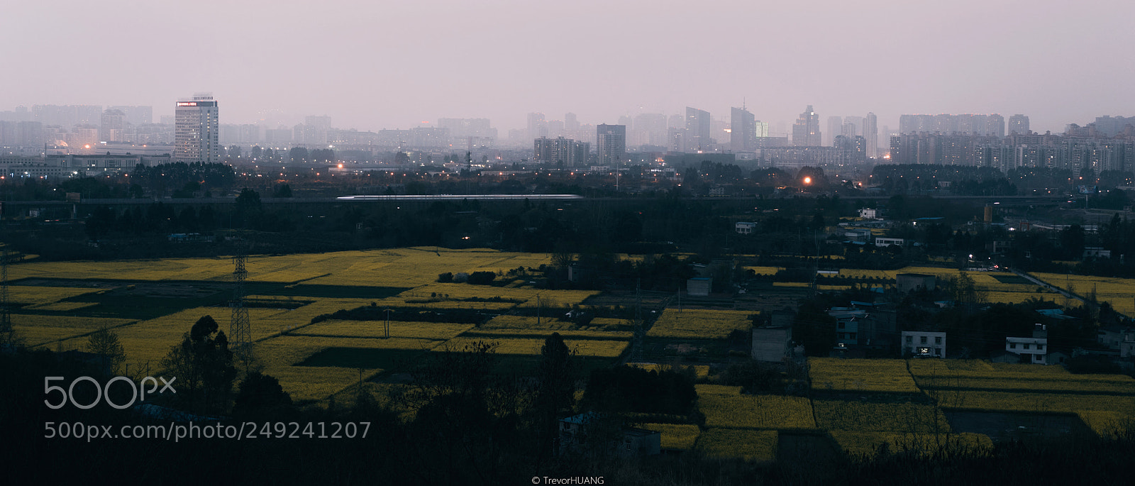 Sony a7 II sample photo. 随风潜入夜 photography