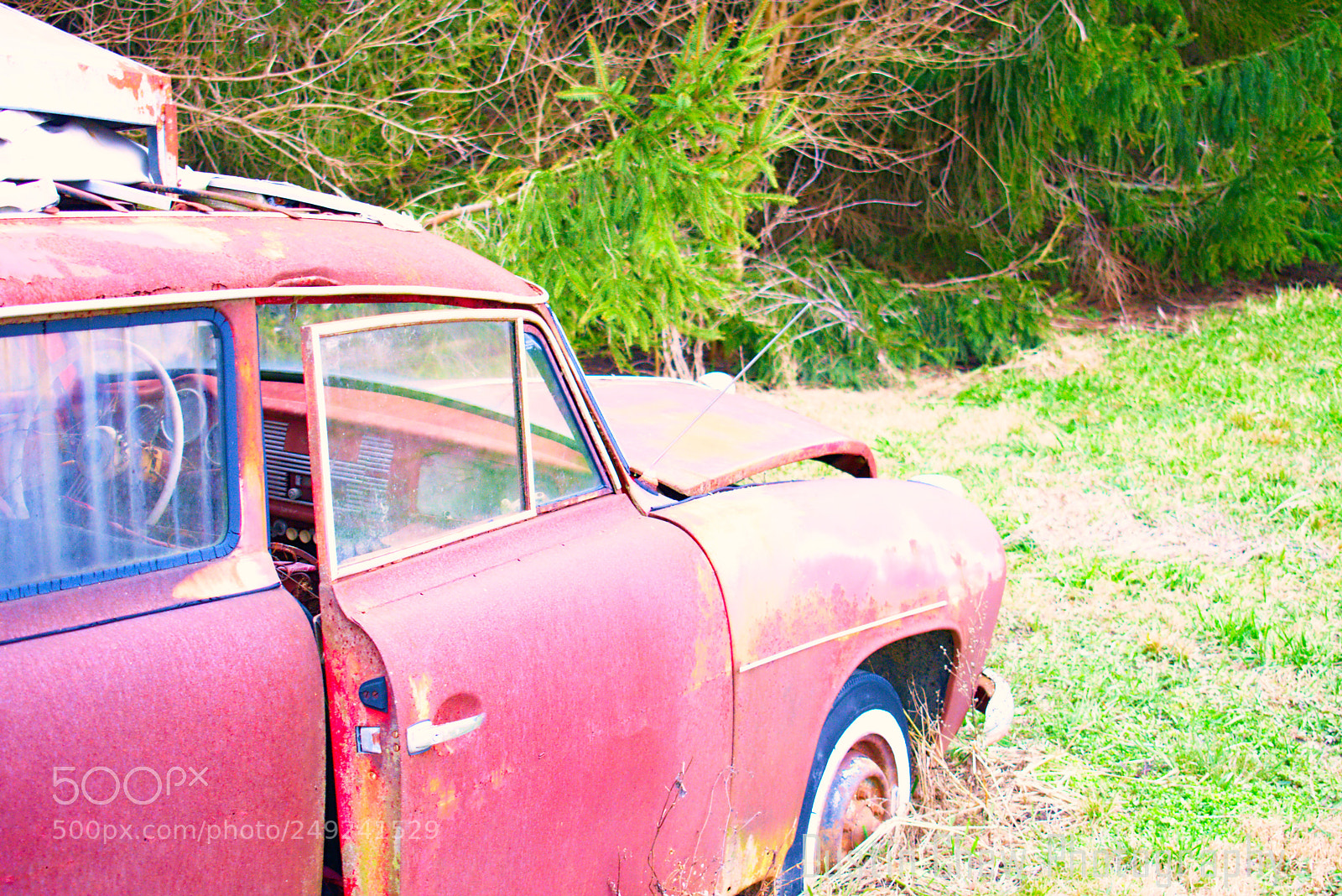 Nikon D7200 sample photo. Goliath01 photography