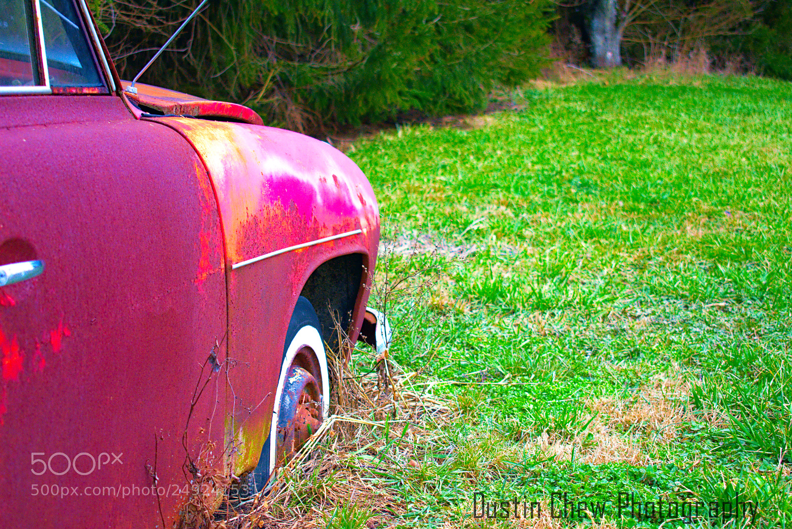 Nikon D7200 sample photo. Goliath02 photography