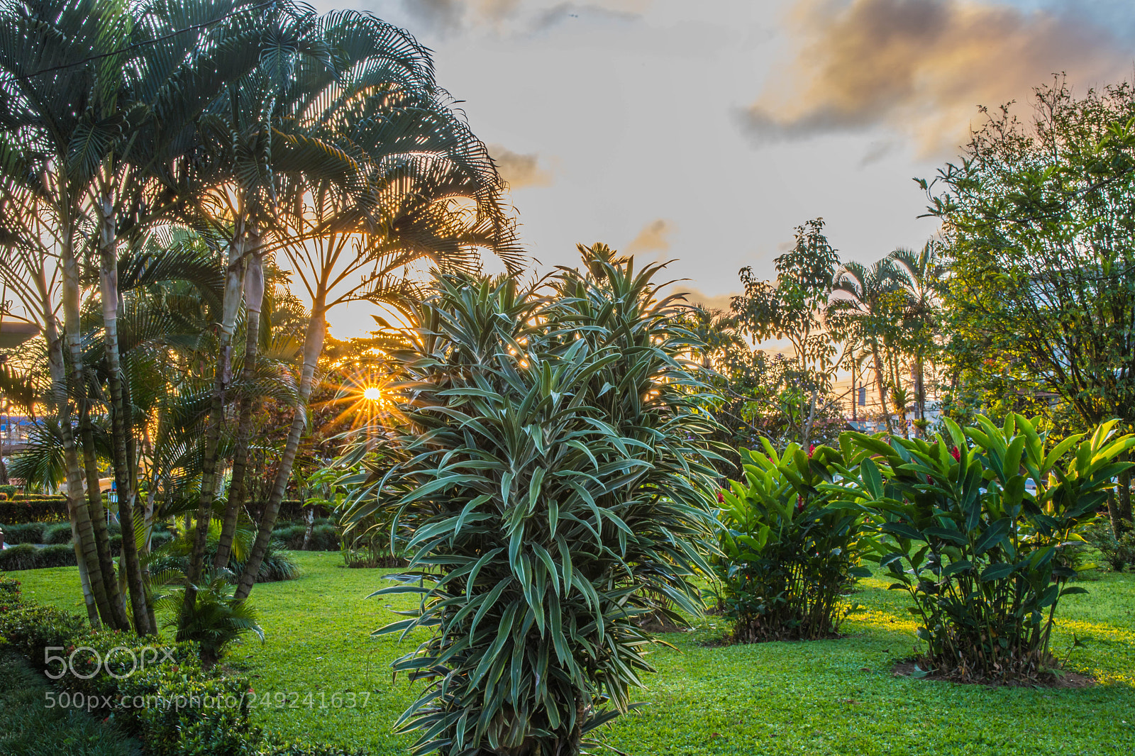 Canon EOS 6D Mark II sample photo. La fortuna, costa rica photography