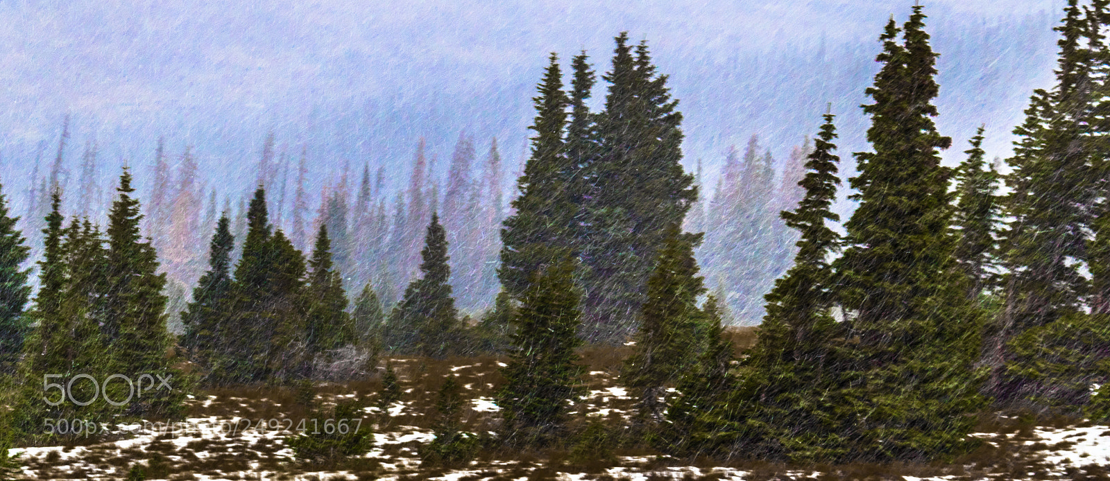 Canon EOS 80D sample photo. Snowing in the woods photography