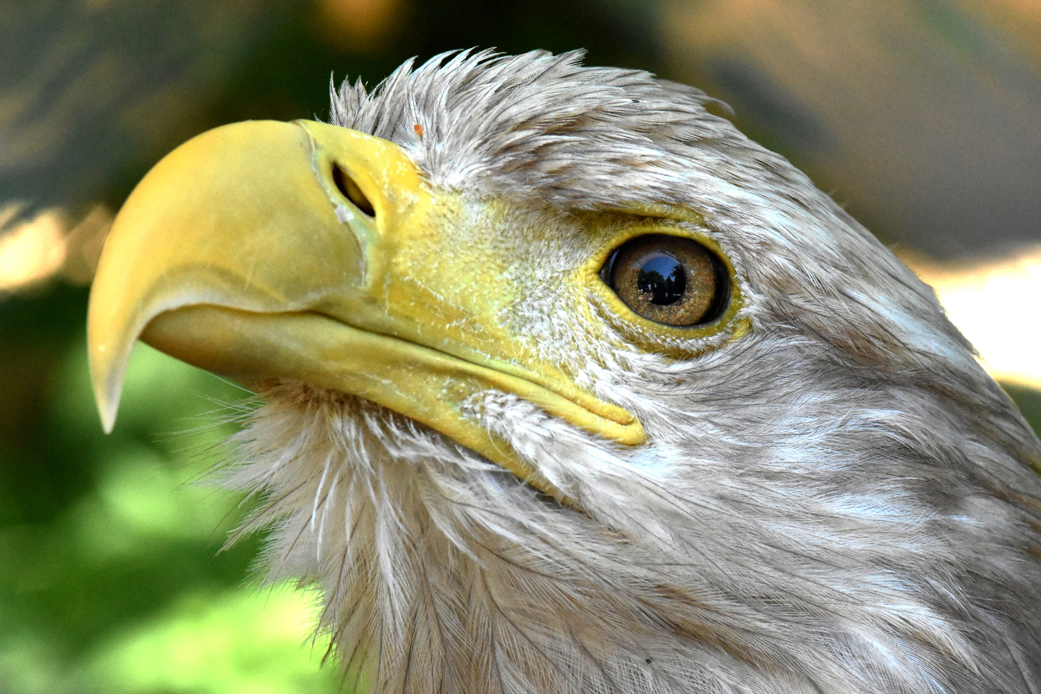 Nikon AF-S Micro-Nikkor 105mm F2.8G IF-ED VR sample photo. Ba photography