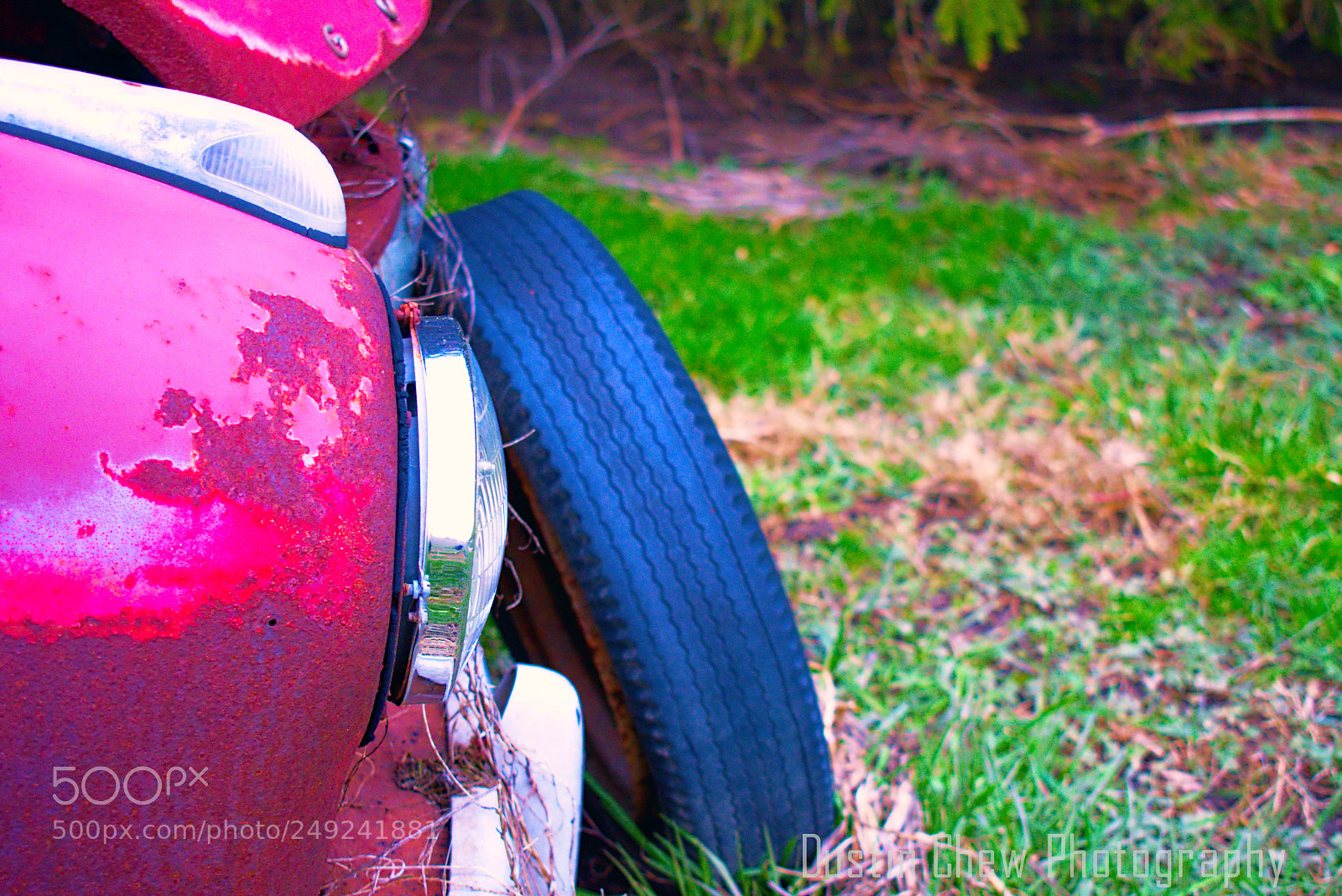 Nikon D7200 sample photo. Goliath03 photography