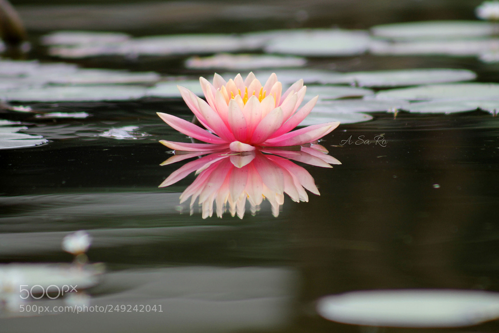 Canon EOS 1100D (EOS Rebel T3 / EOS Kiss X50) sample photo. Symmetry photography
