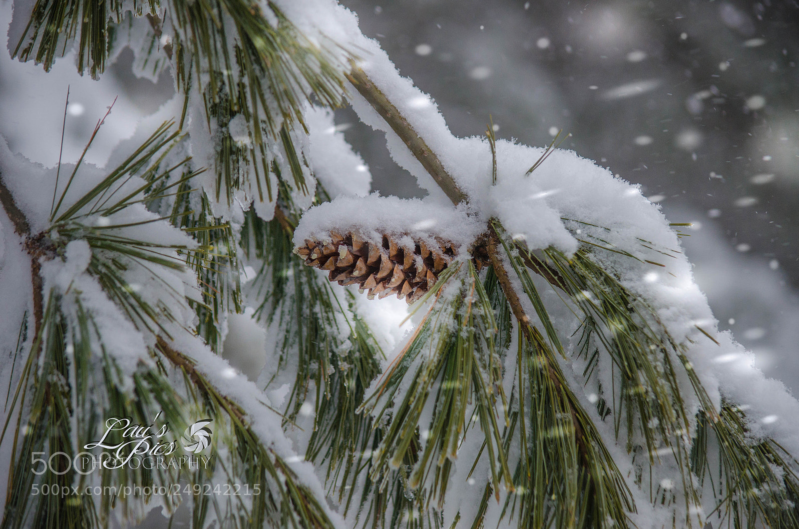 Nikon D7000 sample photo. Winter storm iii 2013 photography
