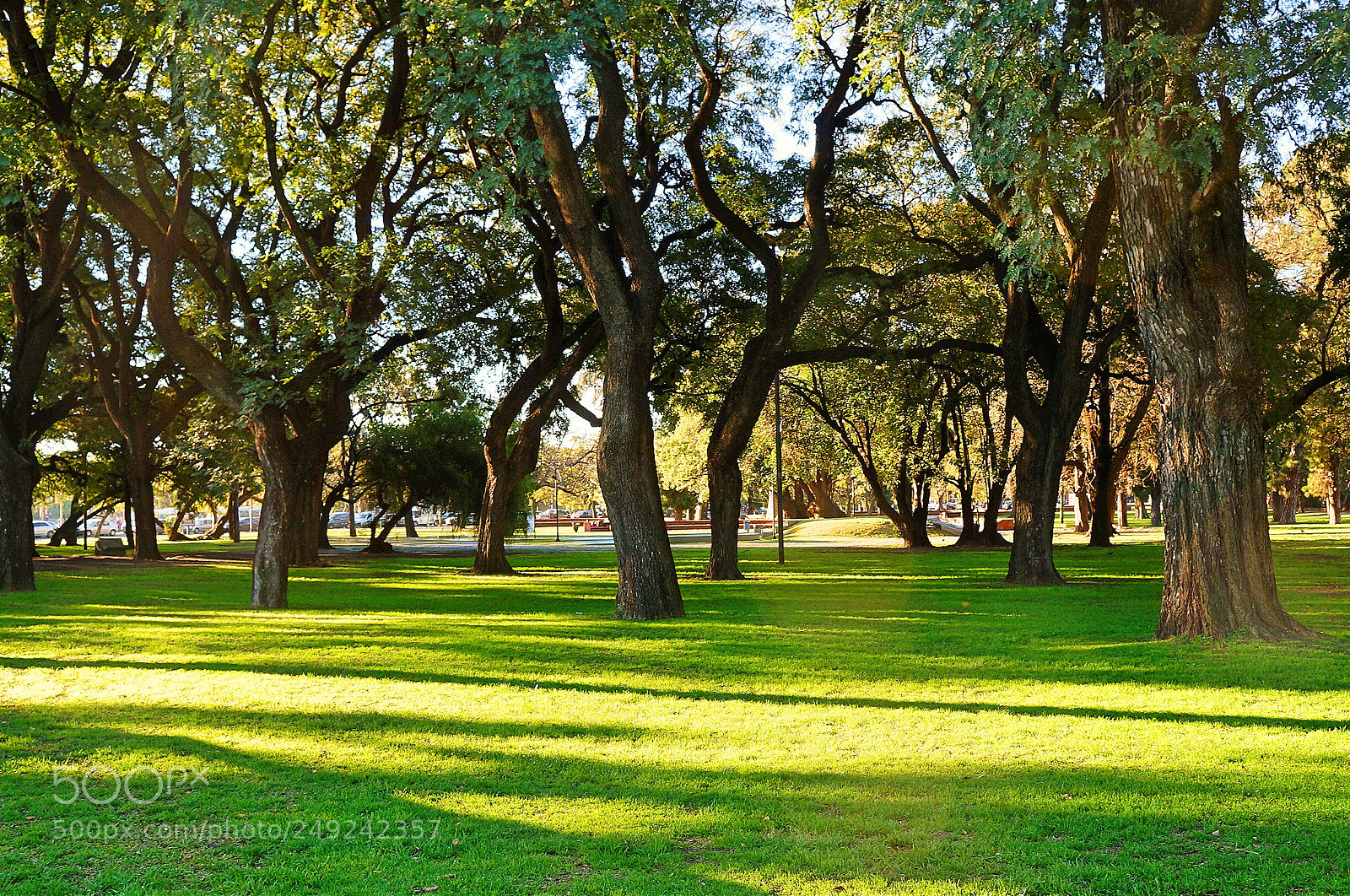 Sony Alpha NEX-F3 sample photo. In natura photography
