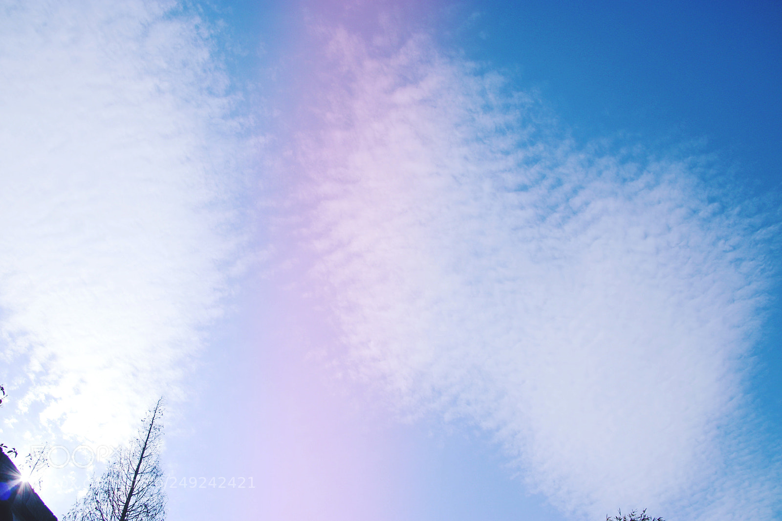 Canon EOS 800D (EOS Rebel T7i / EOS Kiss X9i) sample photo. Sky photography