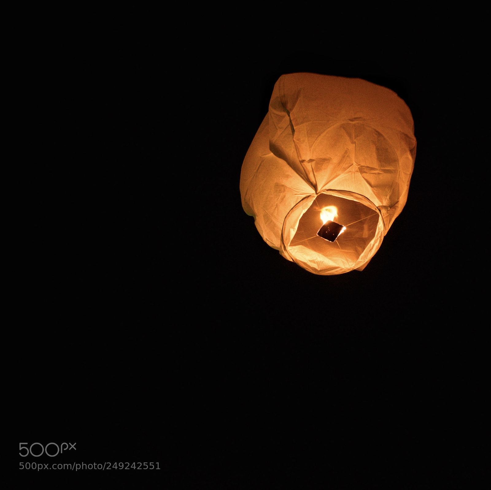 Nikon D5500 sample photo. Wish wish photography