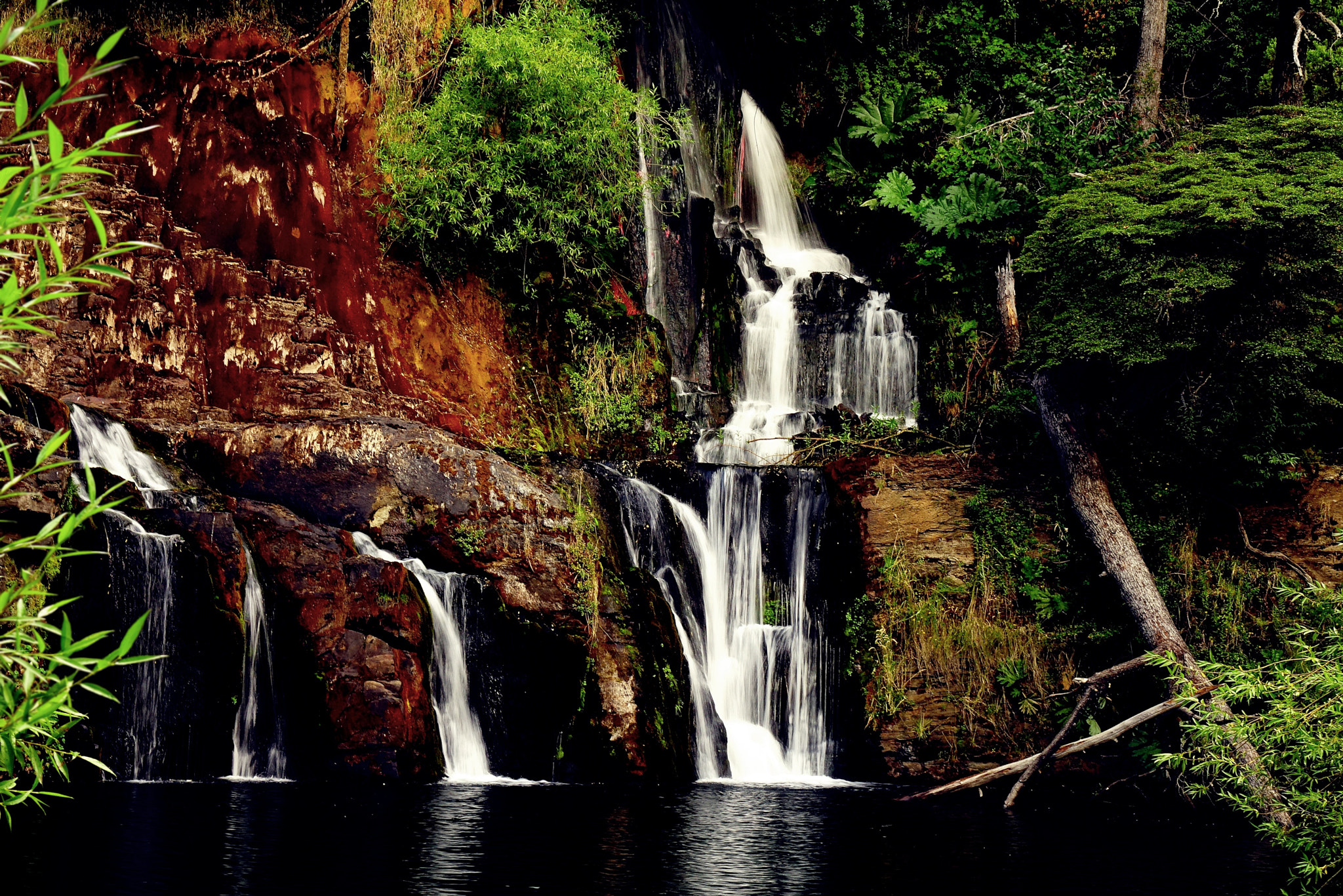 Sony Cyber-shot DSC-RX10 II sample photo. Cascada mallin ahogado photography