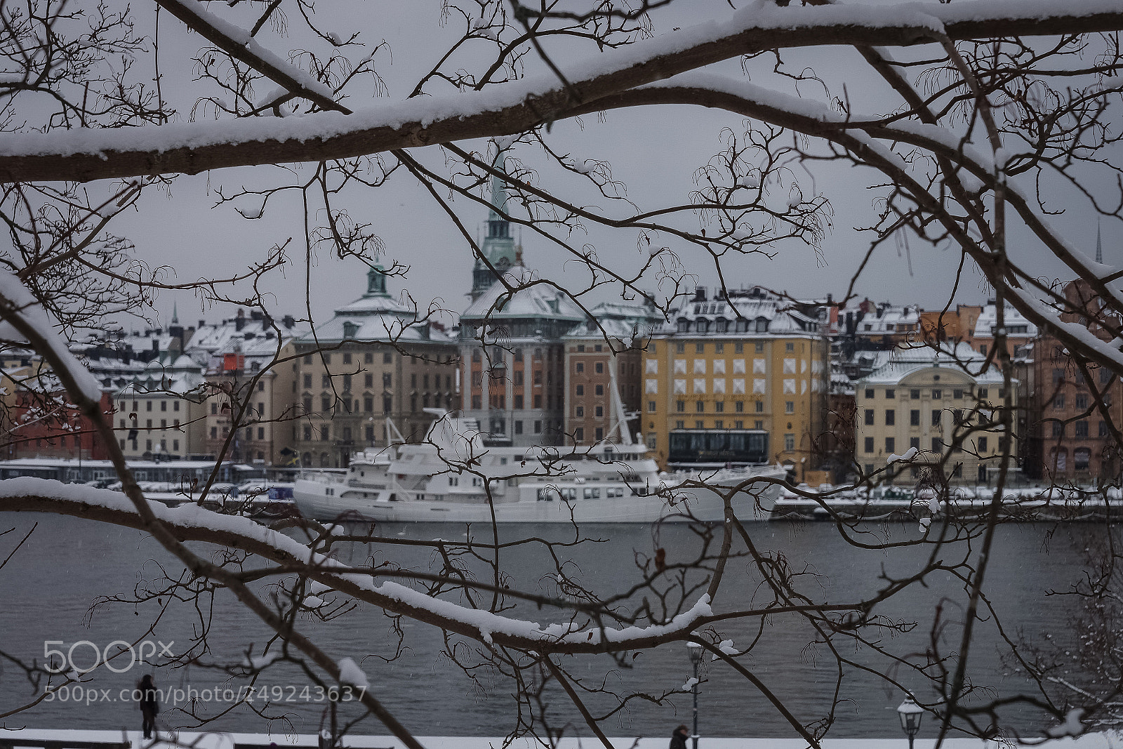 Sony Alpha NEX-7 sample photo. Branches photography