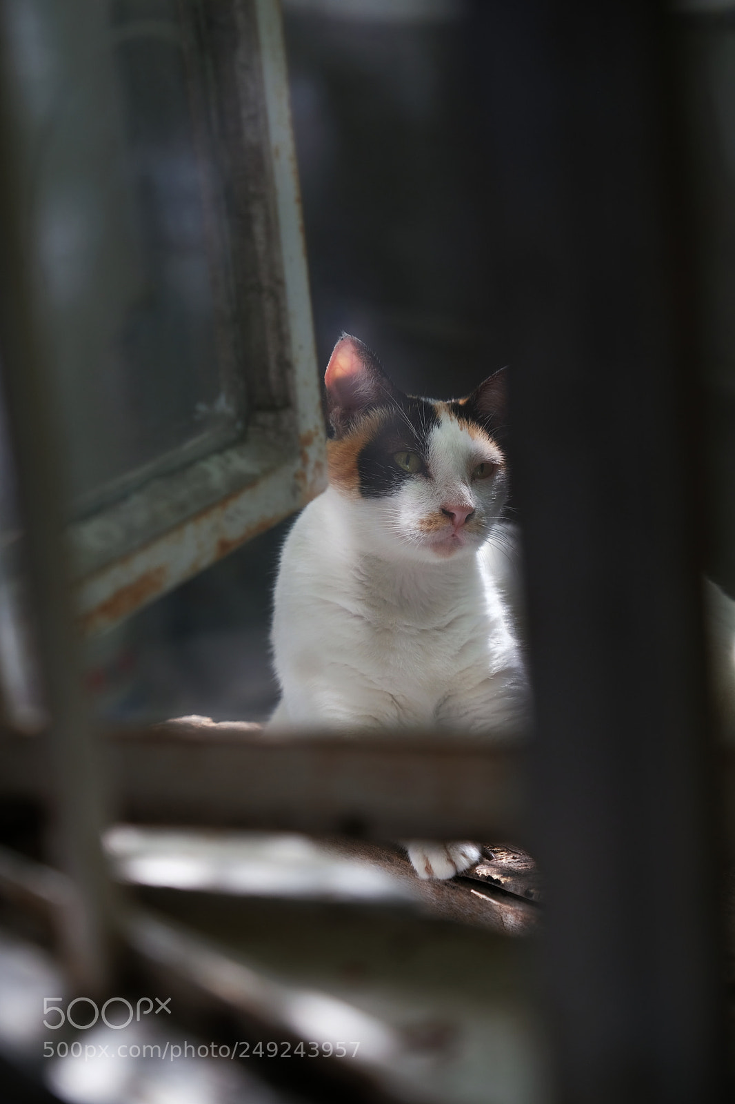 Fujifilm X-Pro2 sample photo. Your home? photography
