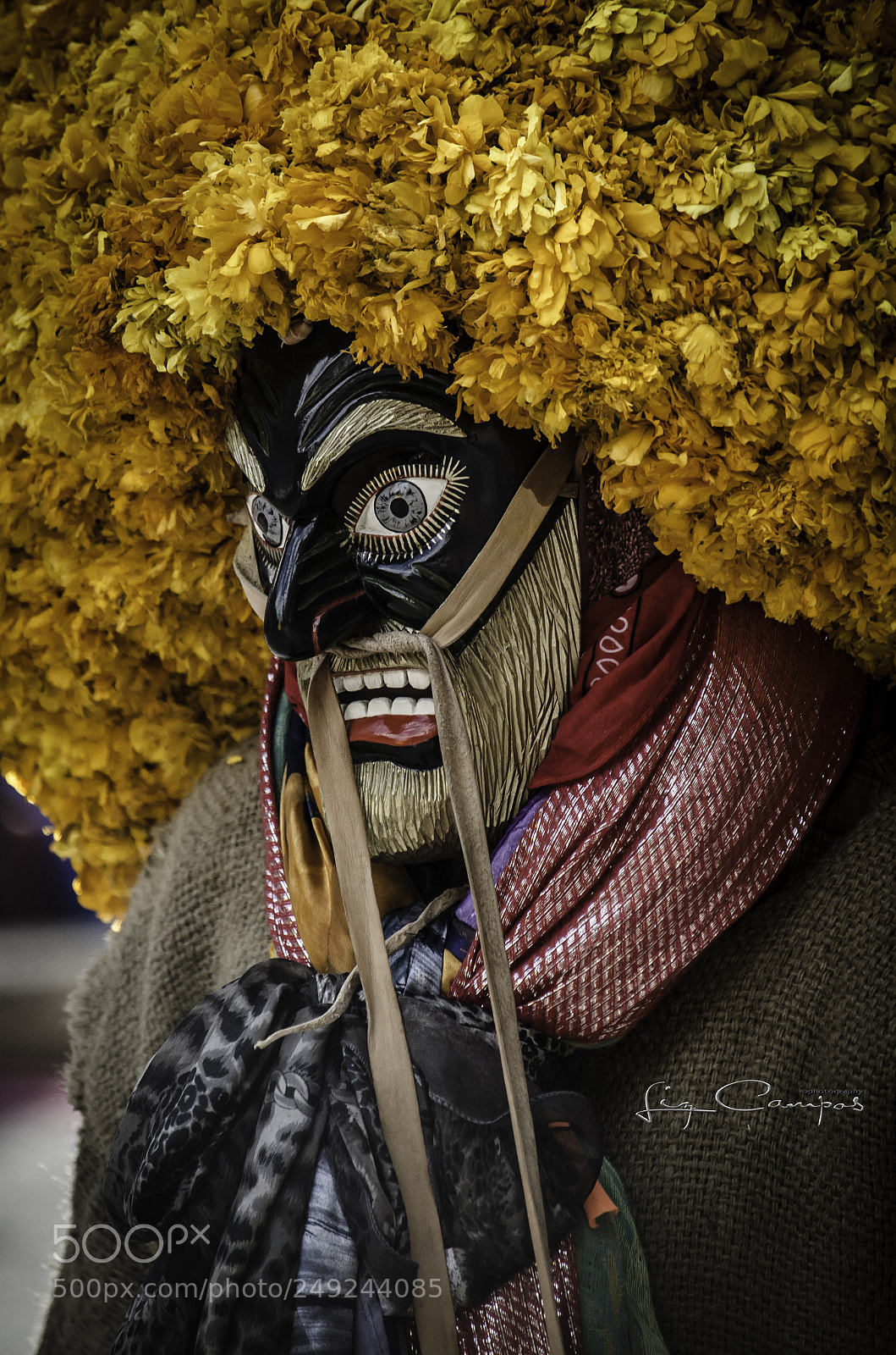 Nikon D5100 sample photo. Untitled photography