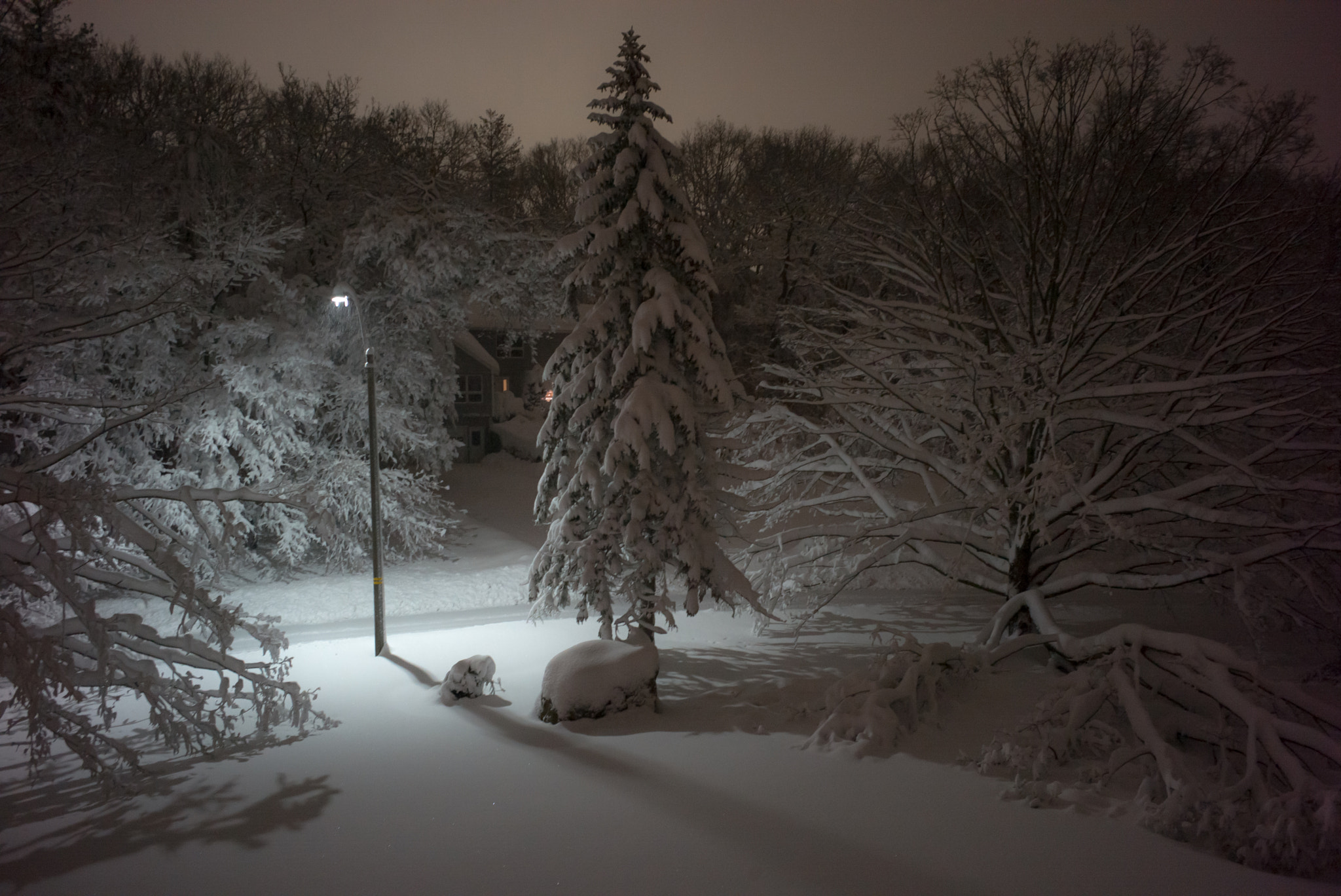 Leica M (Typ 262) sample photo. Calm after the storm photography
