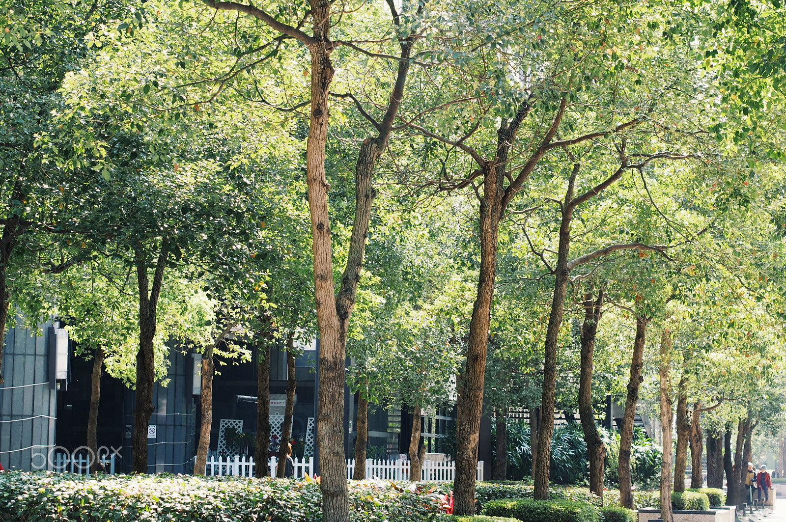 Olympus PEN E-P5 sample photo. Untitled photography