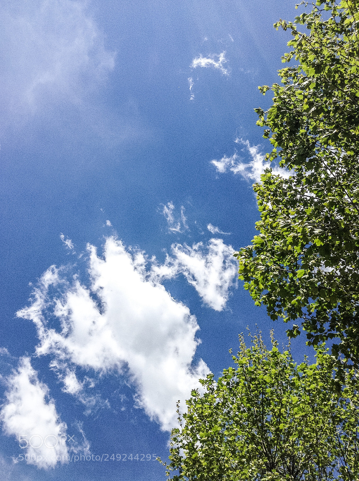 Apple iPod touch sample photo. Sunny day photography