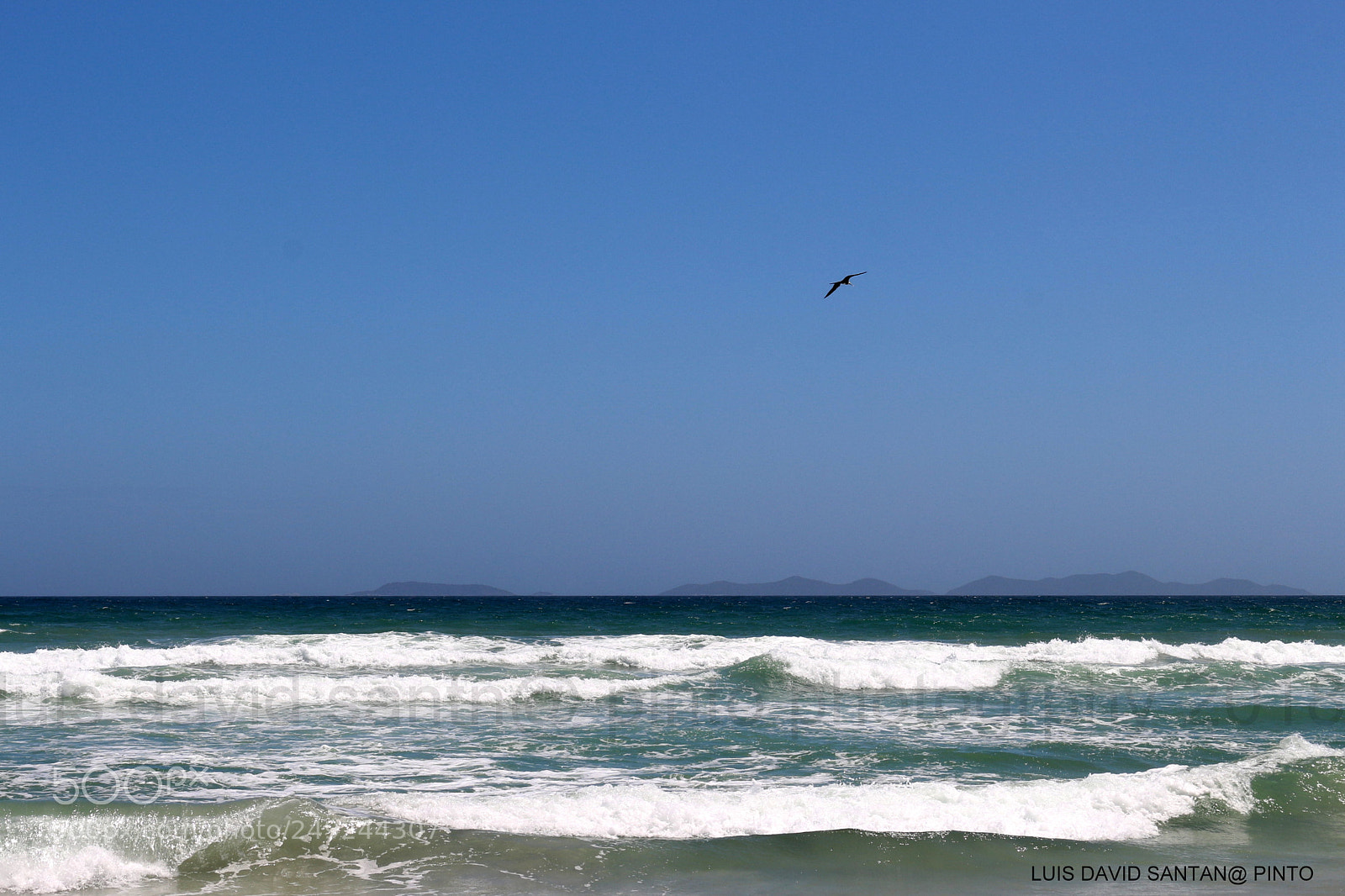 Canon EOS 700D (EOS Rebel T5i / EOS Kiss X7i) sample photo. A wonderful day photography