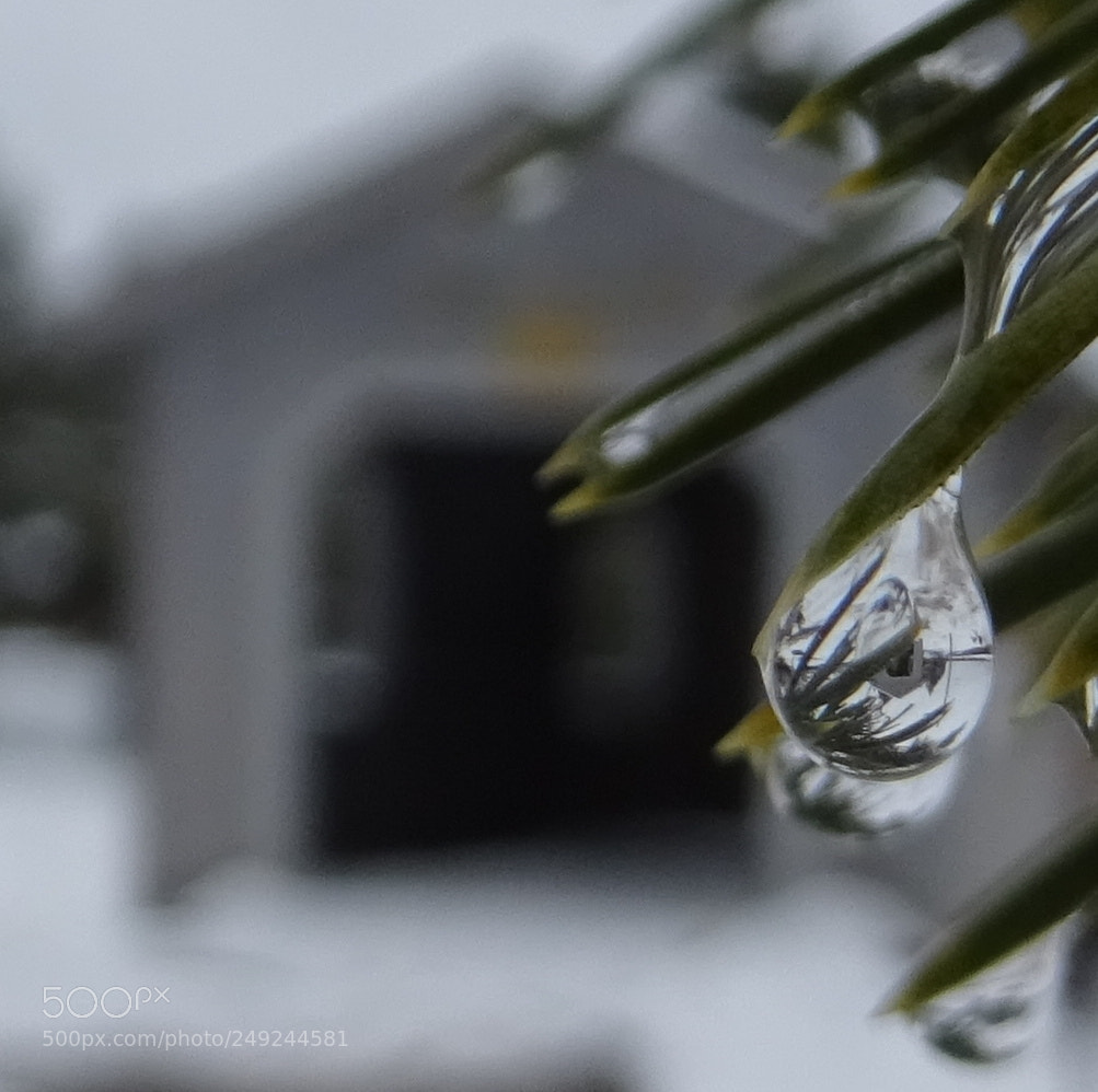 Sony DSC-HX60V sample photo. Covered bridge inverted reflection photography