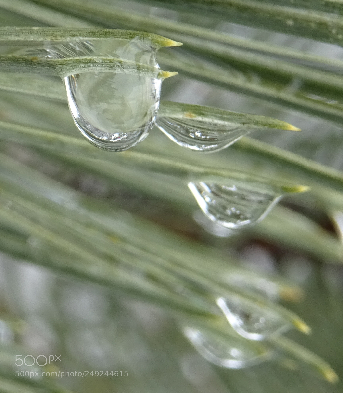 Sony DSC-HX60V sample photo. Water drop freshly freezing photography