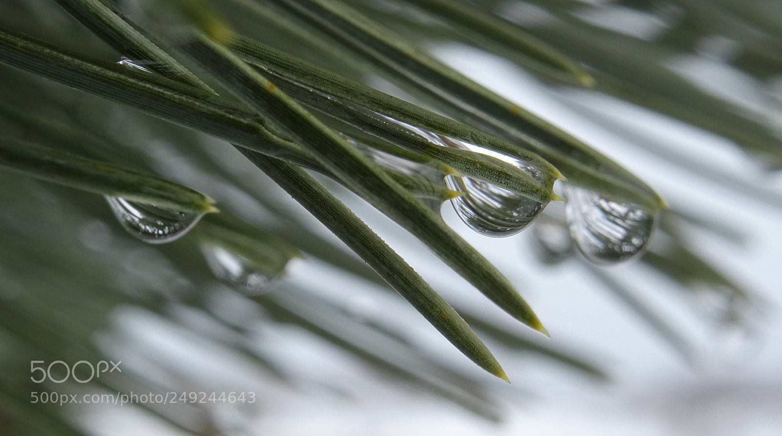 Sony DSC-HX60V sample photo. Warm winter melt photography
