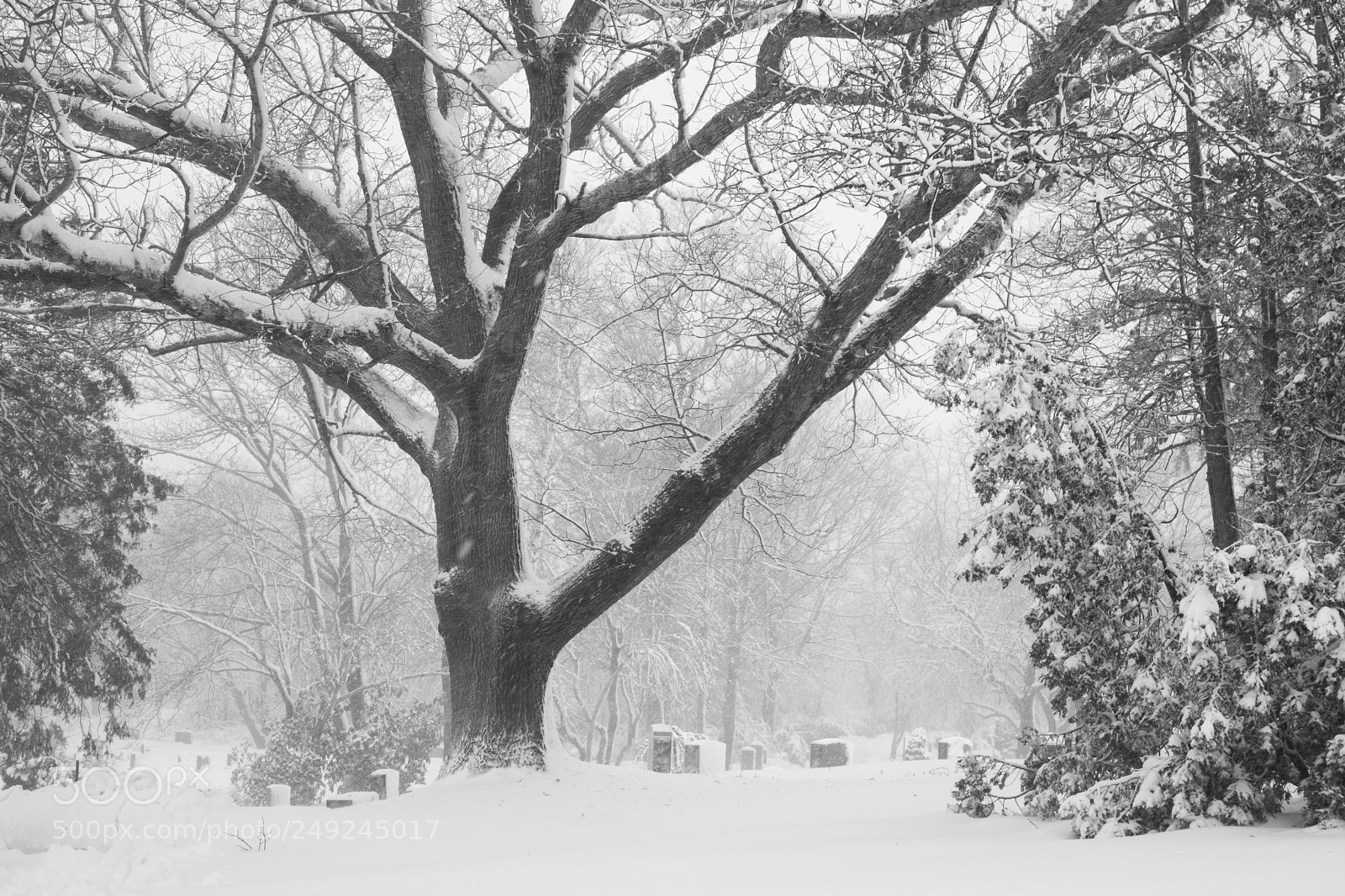 Sony a6300 sample photo. Riverside during blizzard photography