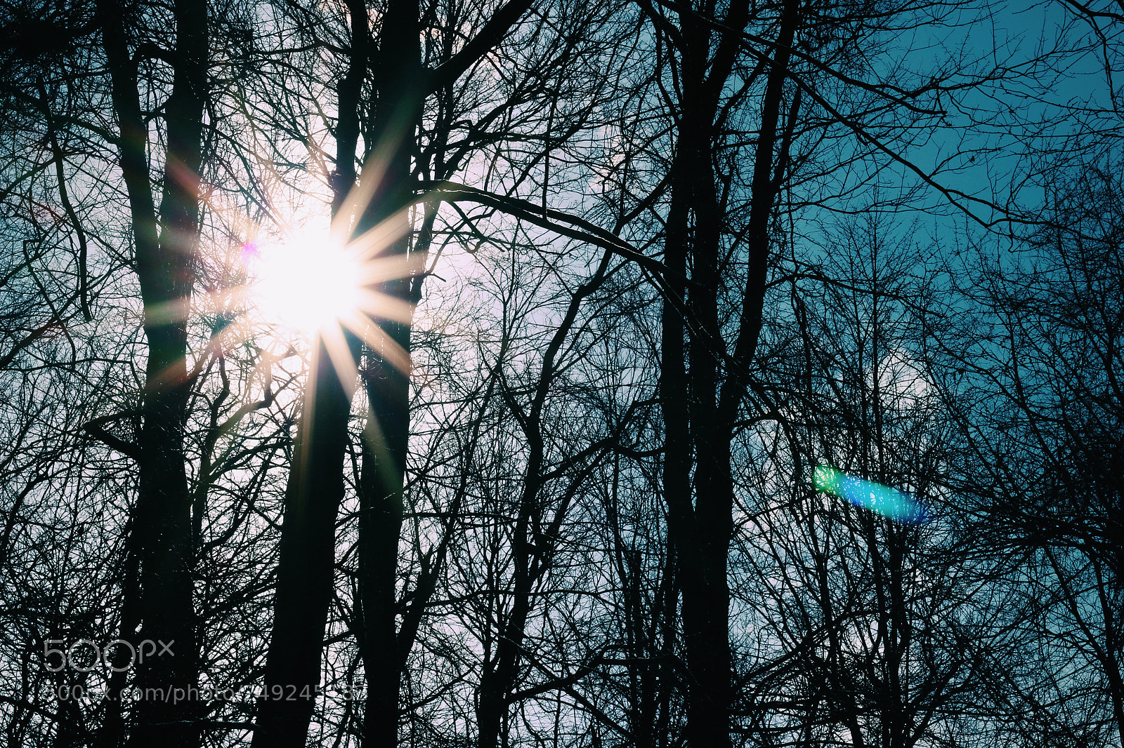 Canon EOS 100D (EOS Rebel SL1 / EOS Kiss X7) sample photo. Sunshine before storm with photography