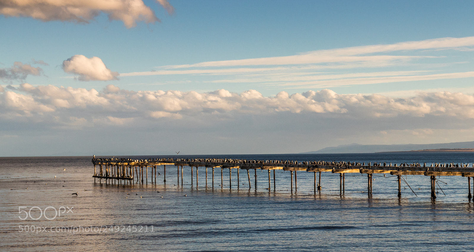 Canon EOS 80D sample photo. Muelle loreto, pta. arenas photography