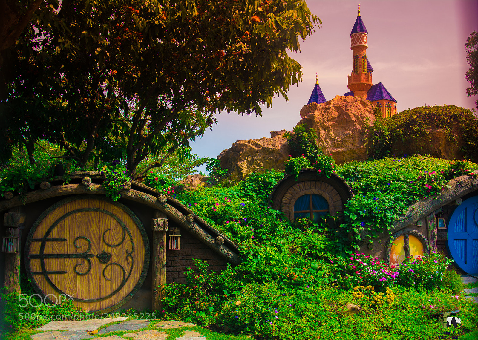 Nikon D7100 sample photo. Magical kingdom photography