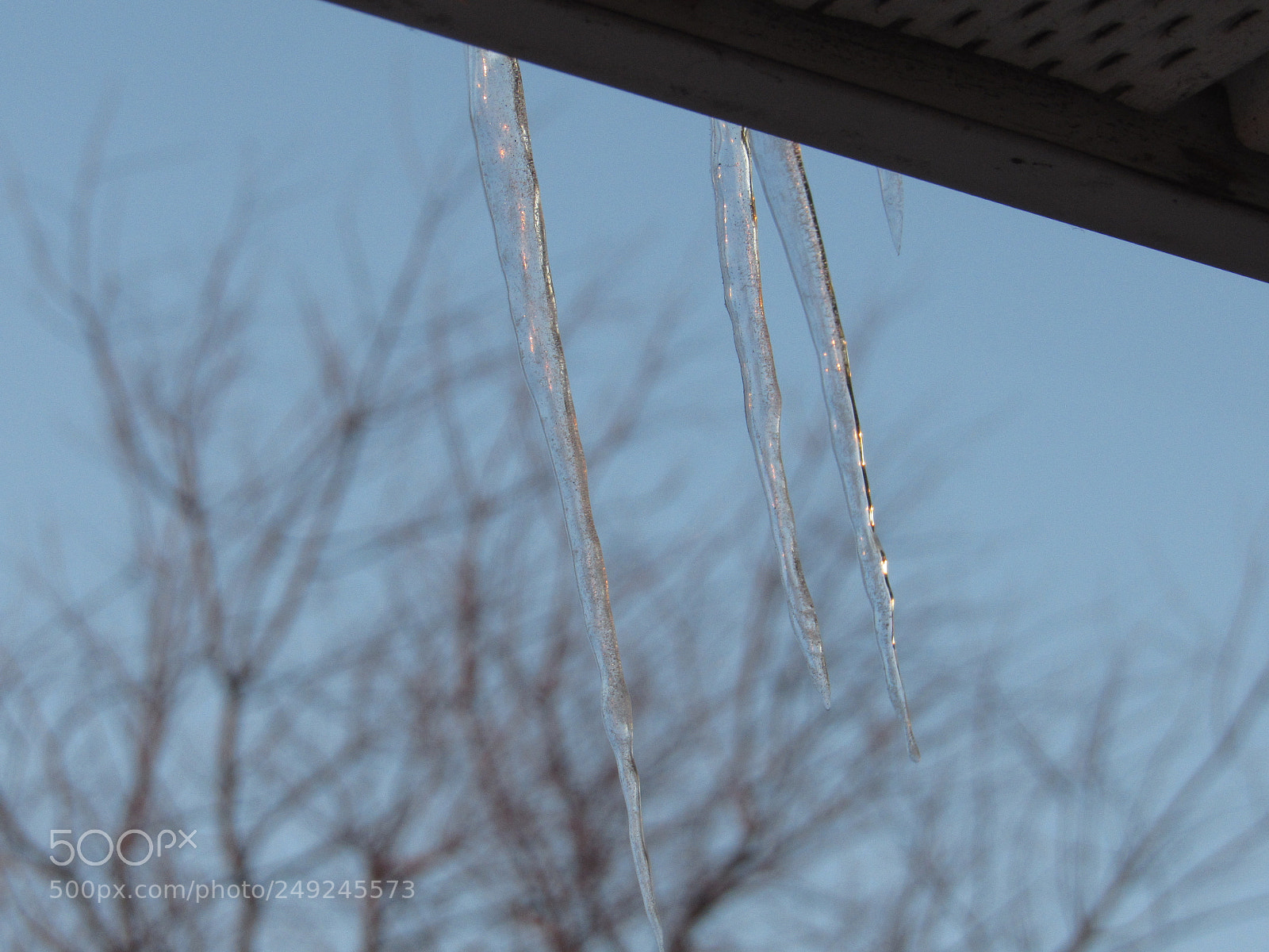 Canon PowerShot SX530 HS sample photo. Biting cold photography