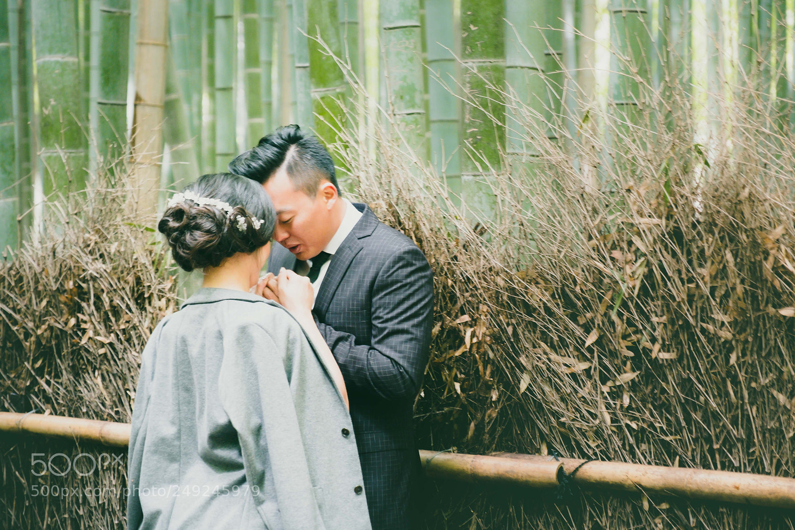 Fujifilm X-T2 sample photo. Love in the bamboo photography