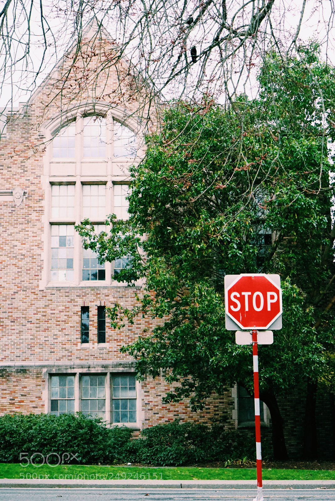Sony a7 II sample photo. Untitled photography