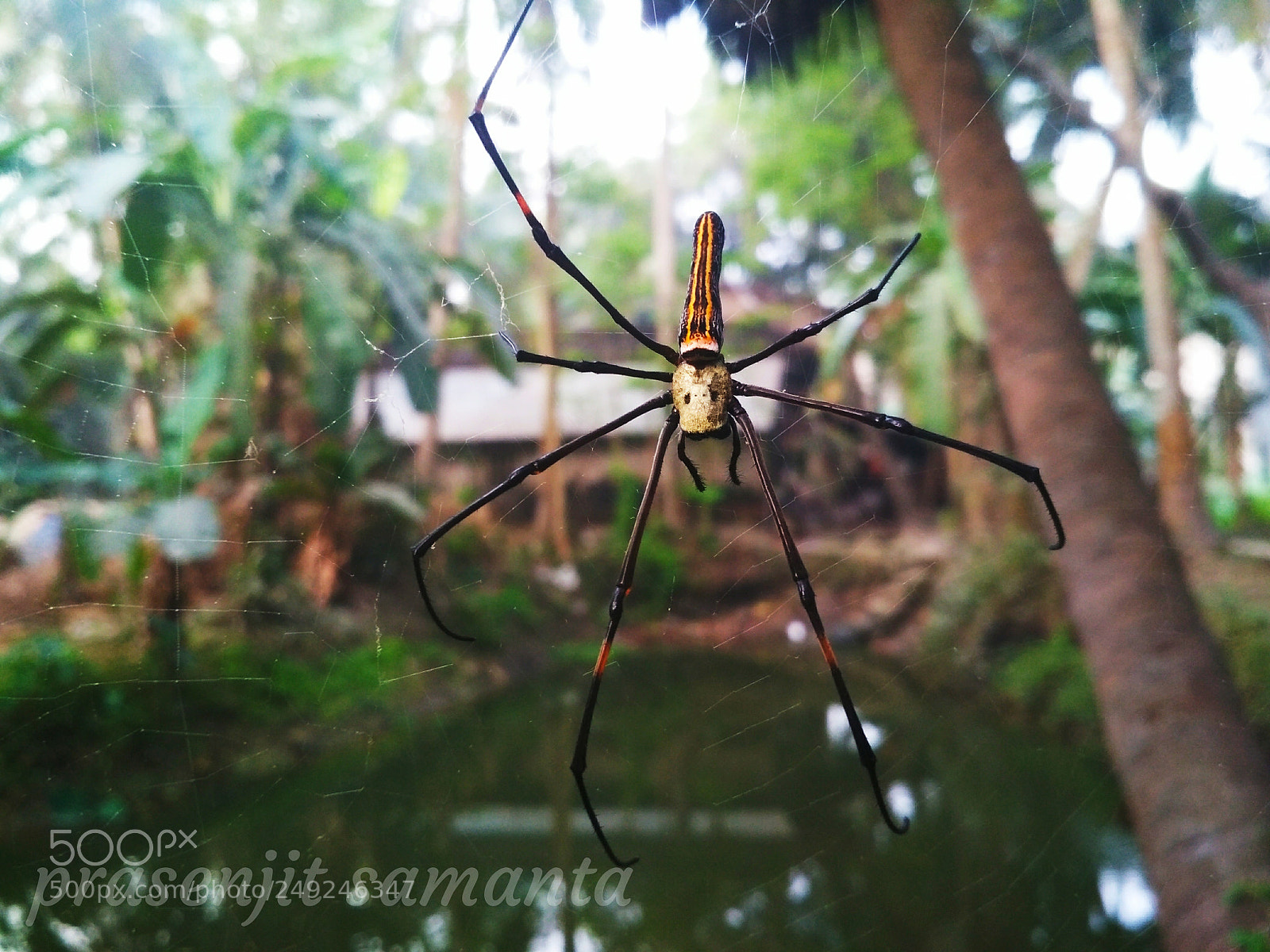 Xiaomi Redmi 4 Pro sample photo. Untitled photography