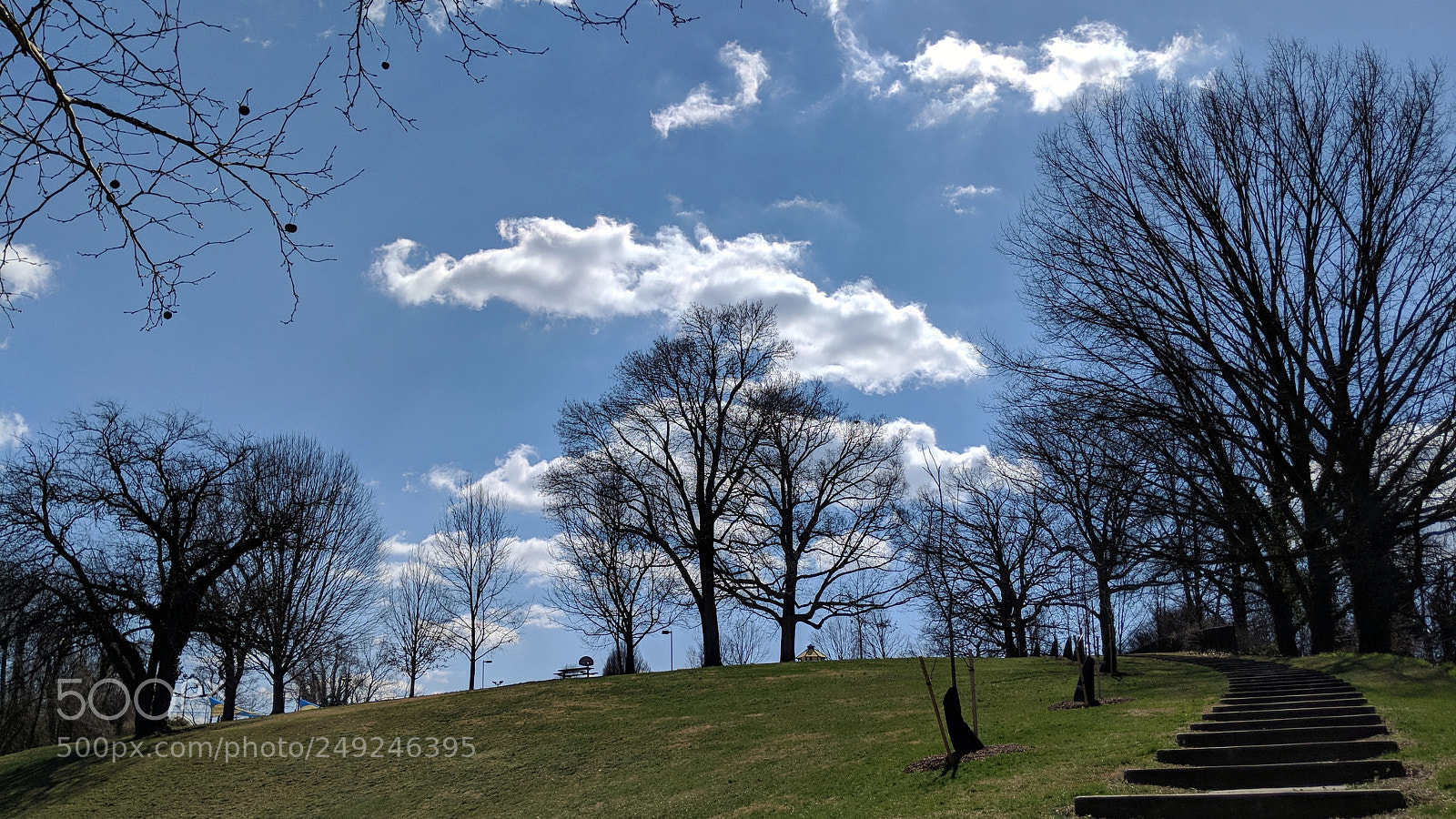 Google Pixel 2 sample photo. Trees, sky, grass photography